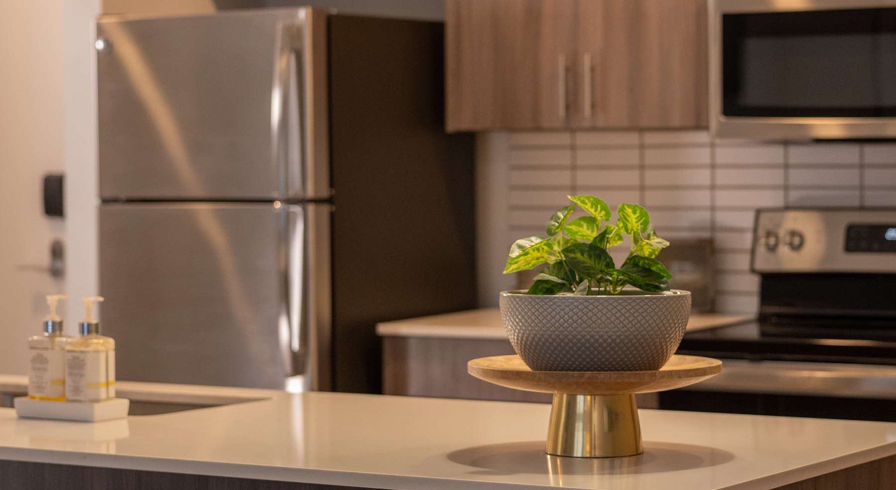 table with a plant on it